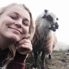 Maicen Carita Johansen