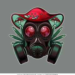 Robby Springefeld