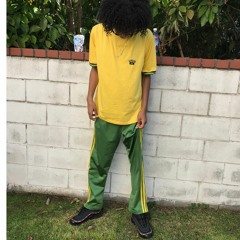 muddymartian