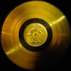 primus47