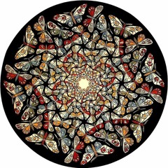 Галина Самаркина