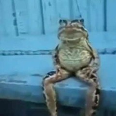 gordo