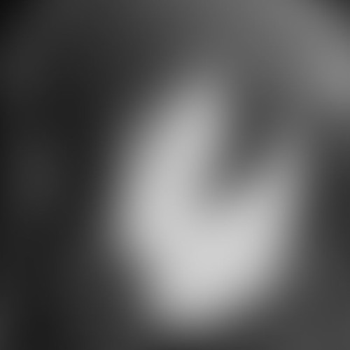 DESTITUTIONE (Unreleased)