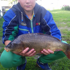Maxfisher Go