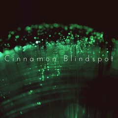 CinnamonBlindspot
