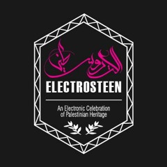 Electrosteen Project