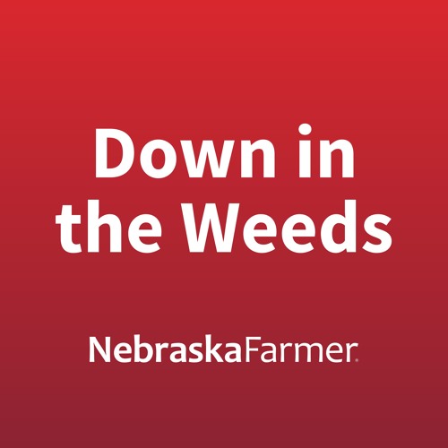 Nebraska Farmer’s avatar
