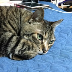 wind blows - 오지은