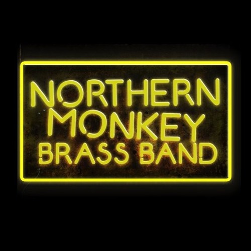 Northern Monkey Brass Band’s avatar