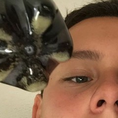 dbarrios710