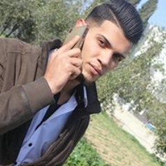 بشار دلول