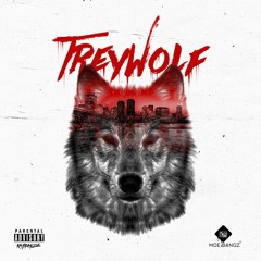 IamTreyWolf
