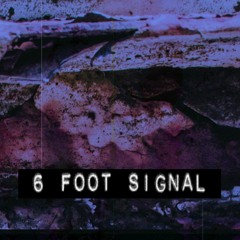 6 Foot Signal