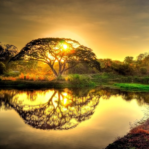 Gersson Edinbaro Neer Sonnal Pothum Seiven Guitar Cover Sample By Jessica Karkada On Soundcloud Hear The World S Sounds soundcloud