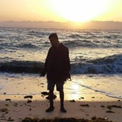 שלומי לוגסי