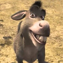 DONKEY