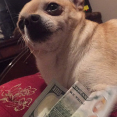 Toxicserg Toxicserg
