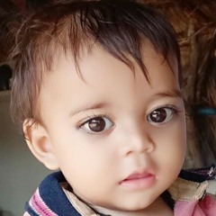 Royal Rajput