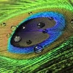 Anetha Sathiyaseelan