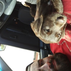 Joshua Rhett Rosauce