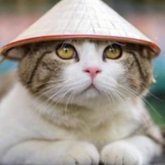 saudong.
