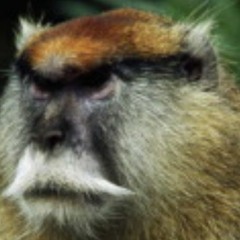 Mr.Mate