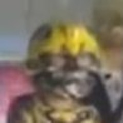 Bumblebee Mk. 2