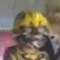 Bumblebee Mk. 2