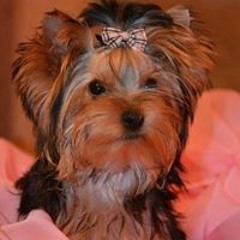 Анастасия Дунская