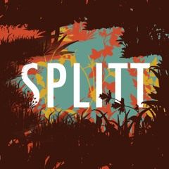 Splitt