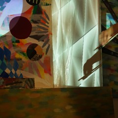 Miriam Den Boer - Salmón