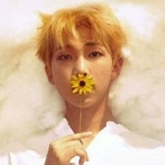KimNamjin🌙