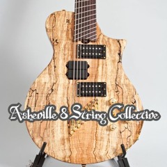 The Asheville 8 String Collective