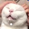 Mimiew