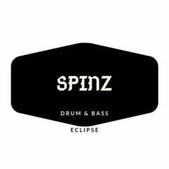 SpinzDNB