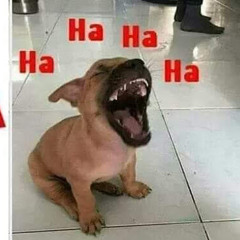 WillV - Vacation (Official Audio).m4a