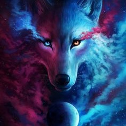 Rainbow Wolf S Stream