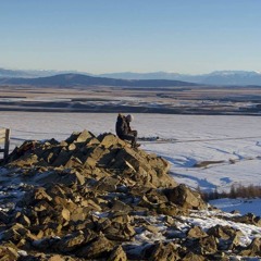 Alexandre Swed Leman