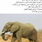 جمعة الجندي