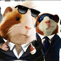 Gman Hamster