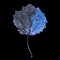Blue Leaf