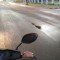 redigo