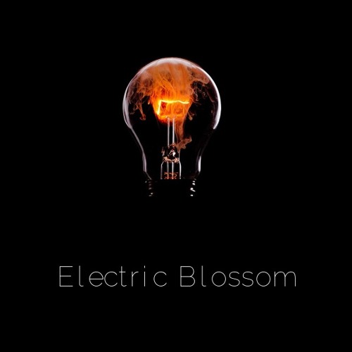 Electric Blossom’s avatar