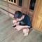 rindamang