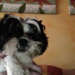 User 959553876