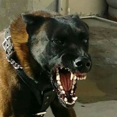 daflackomane