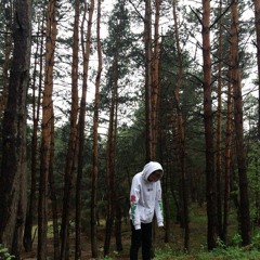 SENSEII