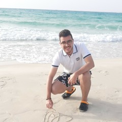 Omar M. Abdalkawy