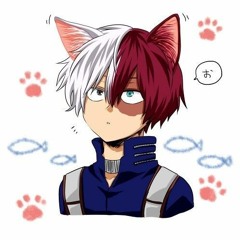 Todocat