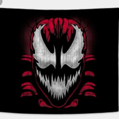 HKS_ BayVenom